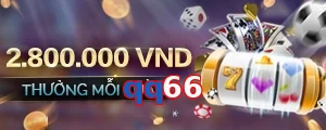qq66