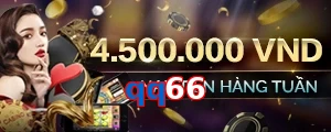 qq66