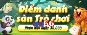 qq66