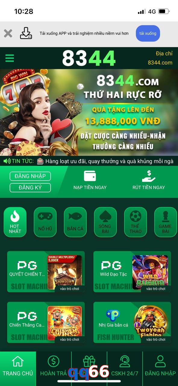 qq66
