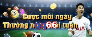 qq66